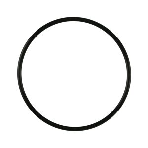 BOV PowerPort/ProPort Inlet Flange O-ring