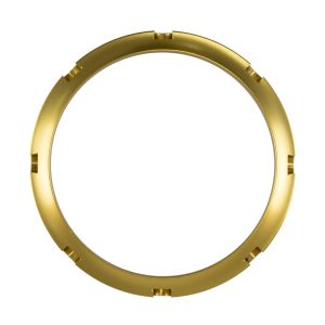 BOV PowerPort Collar Gold
