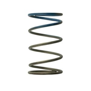 Gen4 / IWG WG38/40/45/50L 10PSI OUTER SPRING - BROWN/BLUE