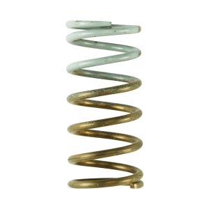 GenV IWG 5 PSI Spring